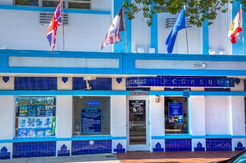 Pegasus International Hotel - image 41