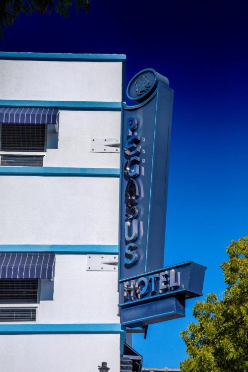 Pegasus International Hotel - image 43