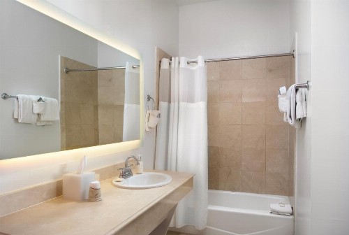 Paradise Inn - Adult Exclusive - image 14