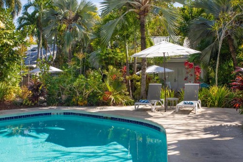 Paradise Inn - Adult Exclusive - image 21
