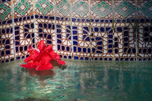 The Gardens Hotel - image 20
