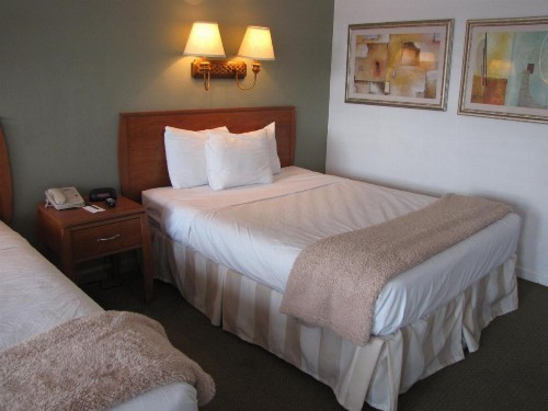 Blue Marlin Motel - image 4