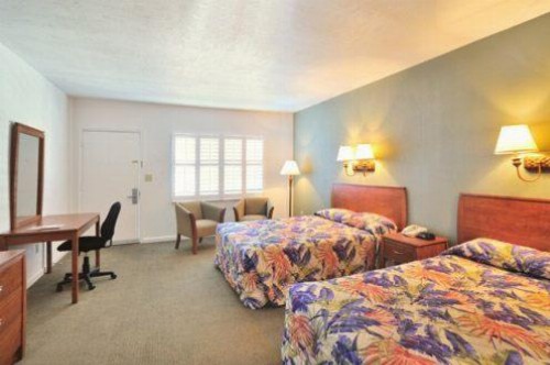 Blue Marlin Motel - image 6