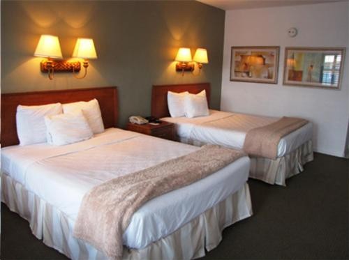 Blue Marlin Motel - image 8