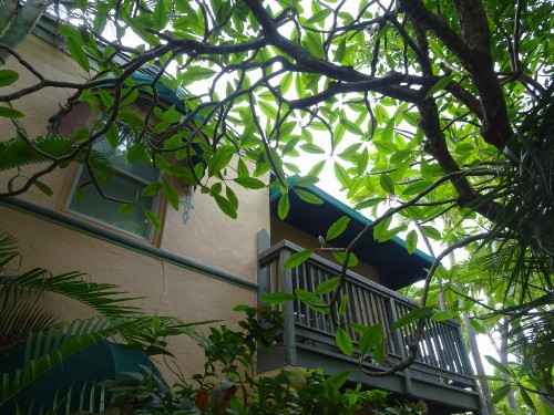 Suite Dreams Inn by the Beach - image 25