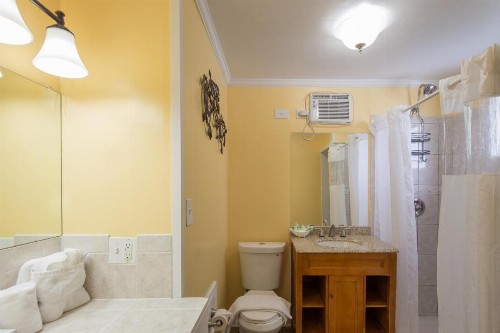 The Palms Hotel - image 6