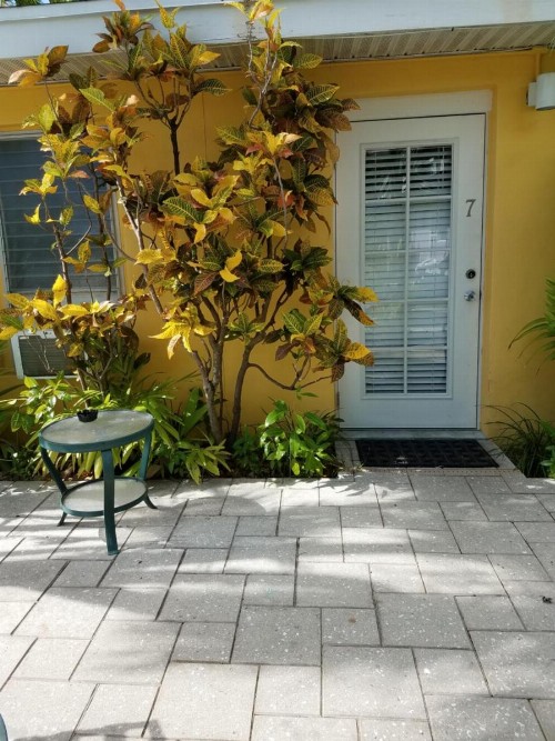Alexander Palms Court - 2 Blocks to Duval Street - image 36