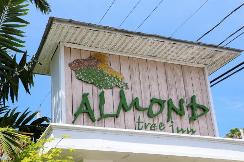 Almond Tree Inn - image 16