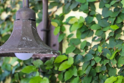 Almond Tree Inn - image 21
