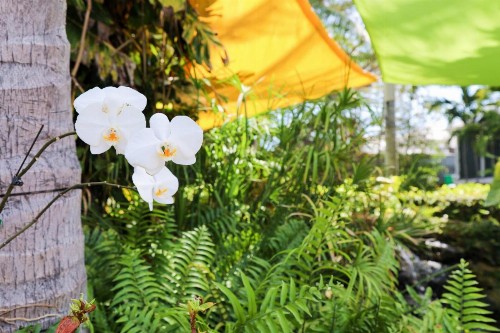 Almond Tree Inn - image 23