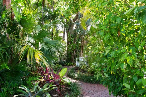 Duval House Bed and Breakfast - image 10