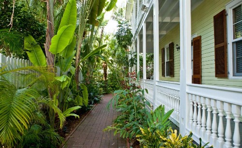 Island City House - image 18