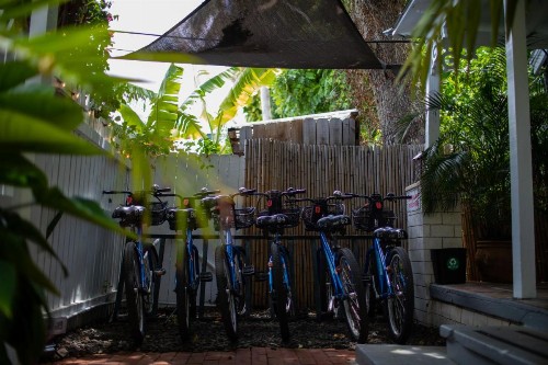 Andrews Inn & Garden Cottages - image 7