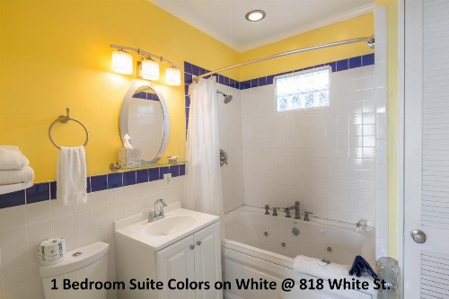Colors on White - image 12