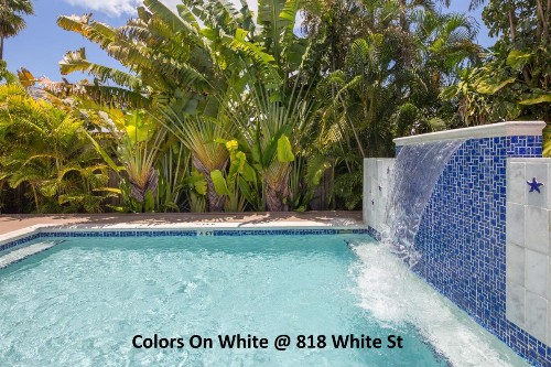 Colors on White - image 5