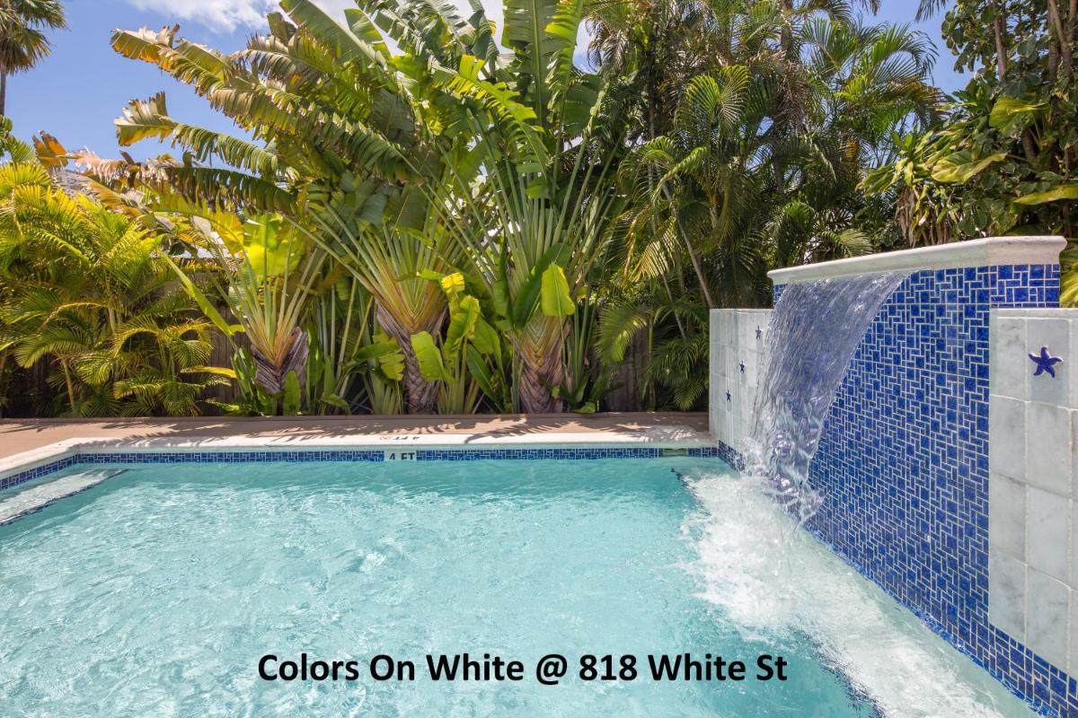 Colors on White - image 5