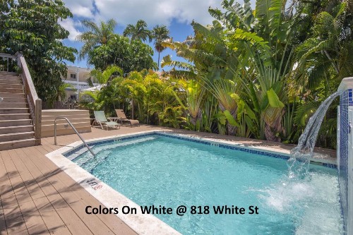 Colors on White - image 6