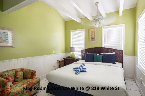 Colors on White - image 8