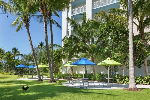 Hilton Garden Inn Key West / The Keys Collection - image 40