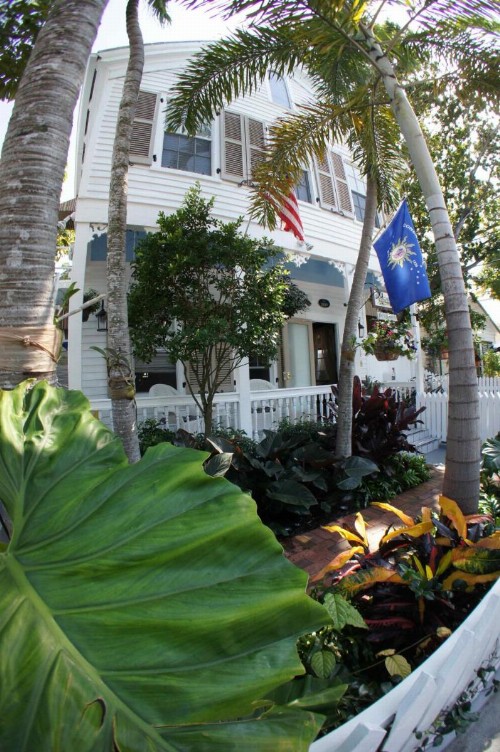 Seascape Tropical Inn - image 50