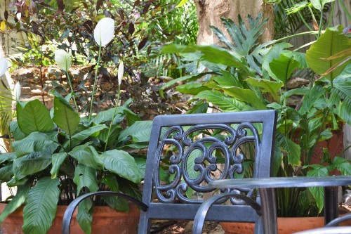 Douglas House - image 22