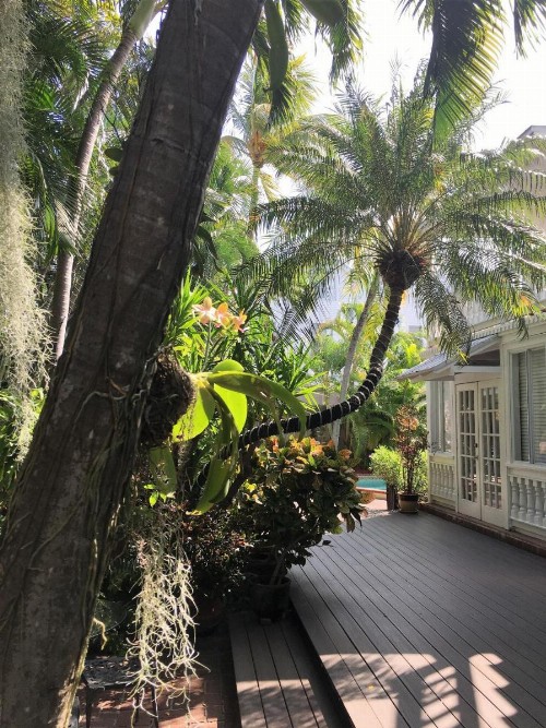 Douglas House - image 36
