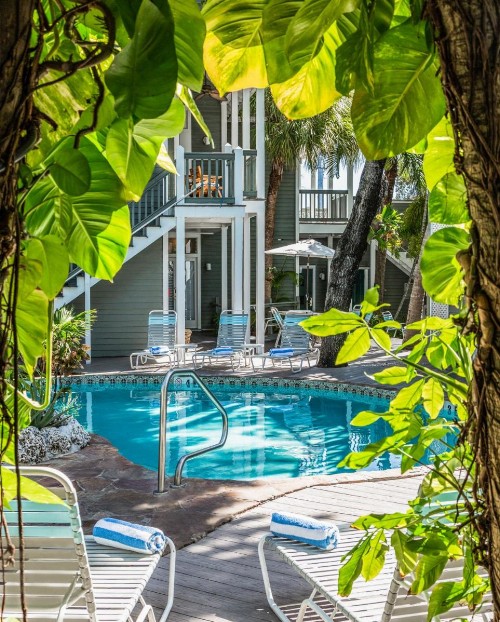 The Cabana Inn Key West - Adult Exclusive - image 30