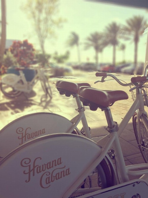 Havana Cabana at Key West - image 24