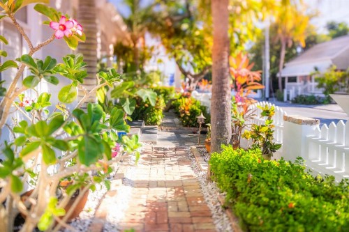 Duval Inn - Key West - image 16