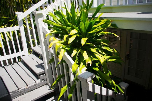 The Garden House - image 50