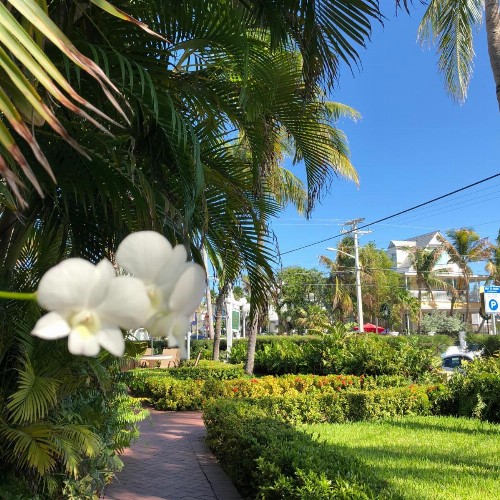 Southernmost Point Guest House - image 41