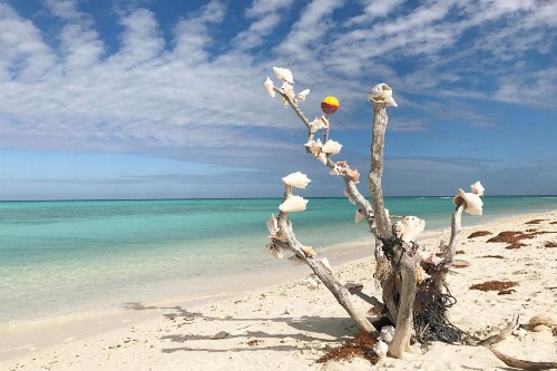 Southernmost Retreat - image 12