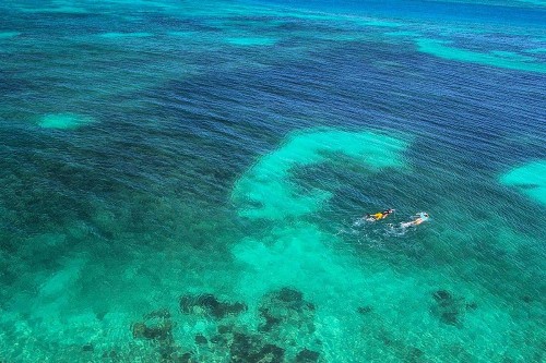 Southernmost Retreat - image 8
