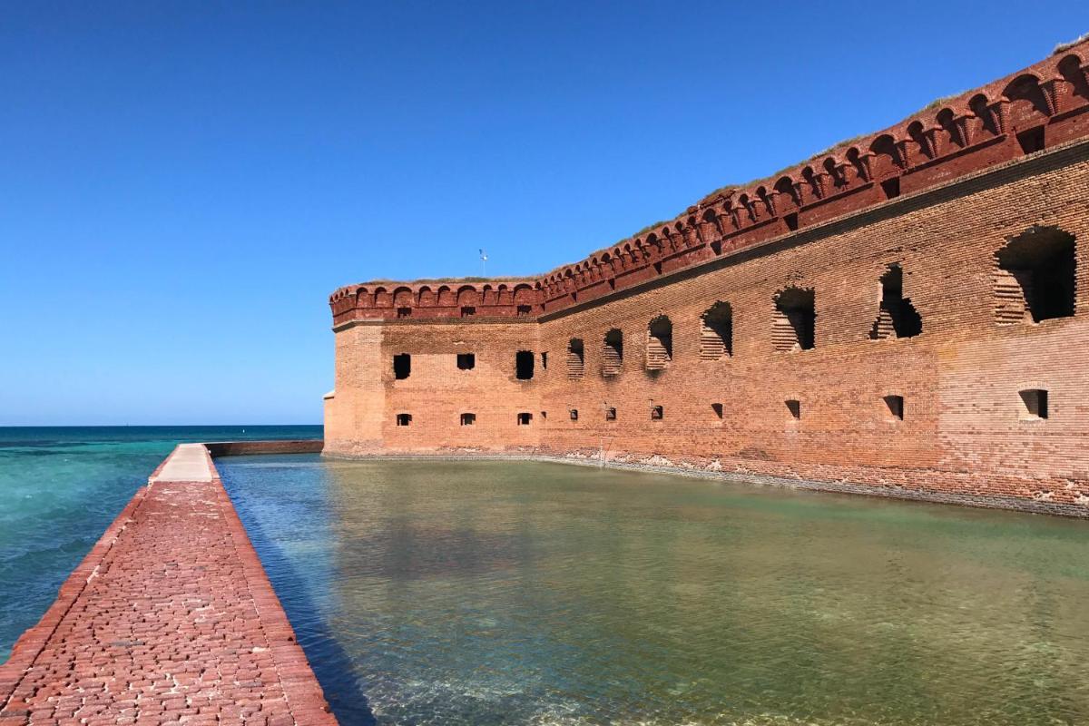 Conch Casa - image 6