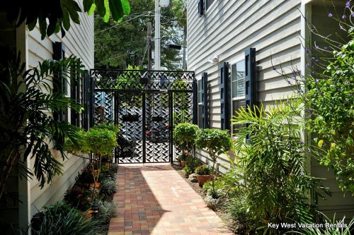 Paradise Suite - image 8