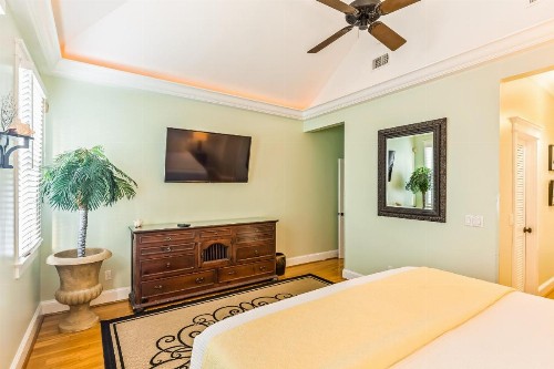Island Oasis - image 12