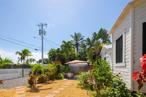 Garden of Roses - image 9