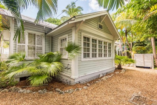 Tropical Village - image 6