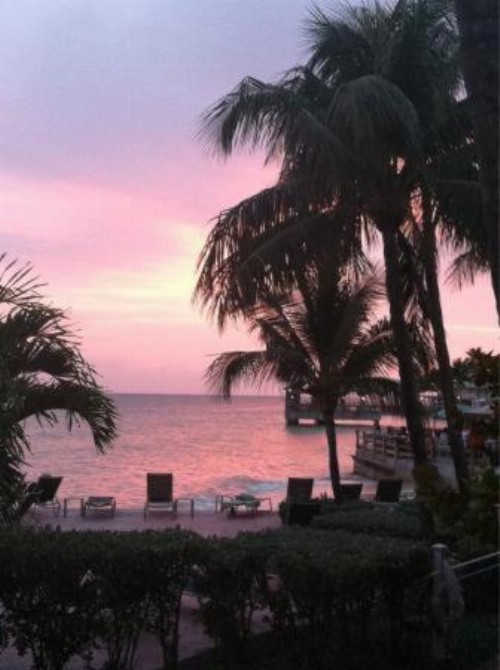 Coconut Beach Resort - image 16