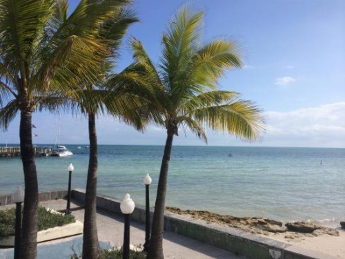 Coconut Beach Resort - image 39