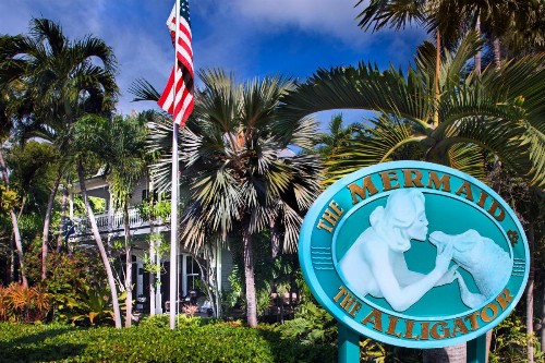 The Mermaid & The Alligator - image 1
