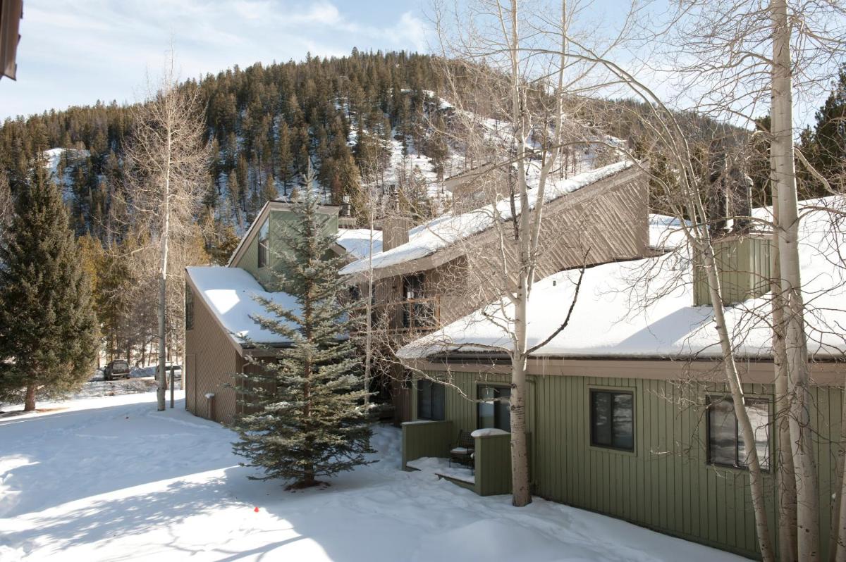 The Forest Neighborhood by Keystone Resort - image 4