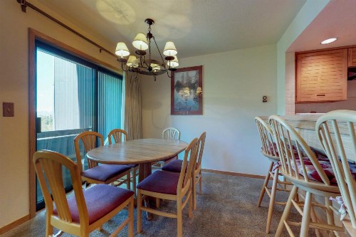 Frostfire Condominiums B19 - image 11