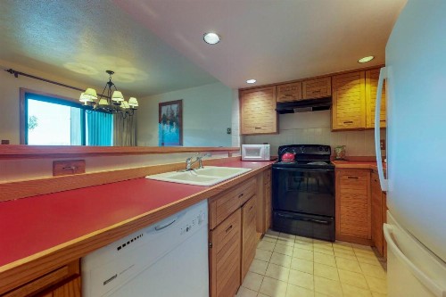 Frostfire Condominiums B19 - image 9