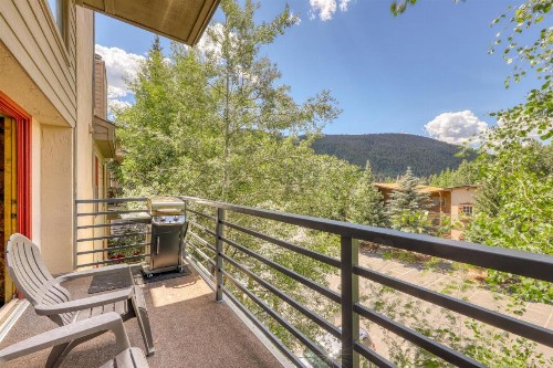 Snowdance Manor 408 - image 8