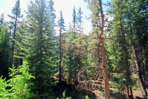 Trappers Crossing 8763 - image 5