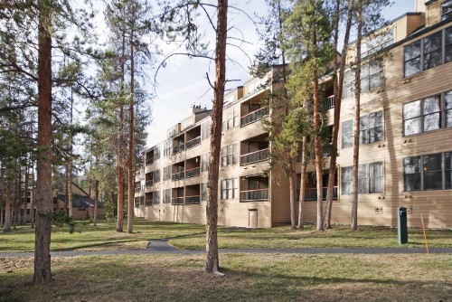 1633 Quicksilver Condo - image 8