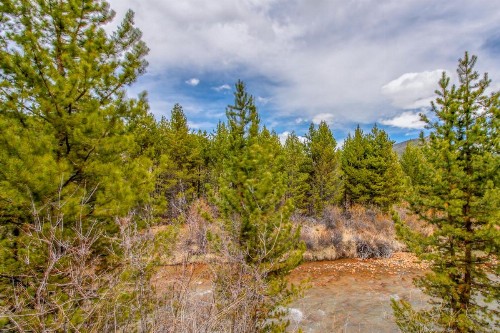 Snake River Outpost - image 11
