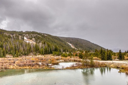 River Bank Lodge 2924 - image 7