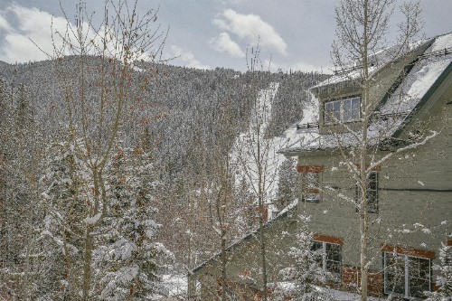 Jack Pine 8016 - image 48